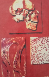 Image of kamus kedokteran